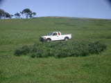 Select an image to enlarge
