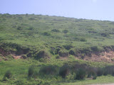 Select an image to enlarge