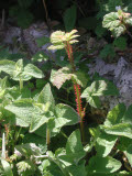 Select an image to enlarge