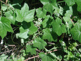Select an image to enlarge