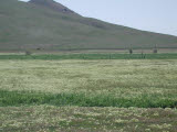 Select an image to enlarge