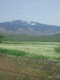 Select an image to enlarge