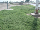 Select an image to enlarge
