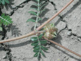 Select an image to enlarge