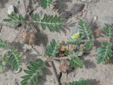Select an image to enlarge