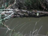 Select an image to enlarge