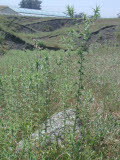 Select an image to enlarge