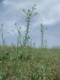 Select an image to enlarge