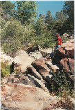 Select an image to enlarge