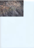 Select an image to enlarge
