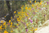 Select an image to enlarge