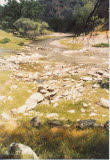 Select an image to enlarge