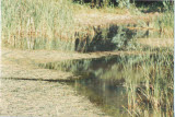Select an image to enlarge