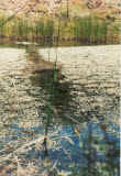 Select an image to enlarge