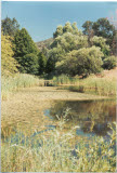 Select an image to enlarge