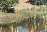 Select an image to enlarge